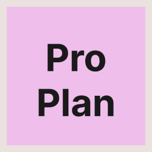 Pro Plan - Menuyaa Digital Menu